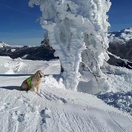 Pensión Gaestehaus Walpurga