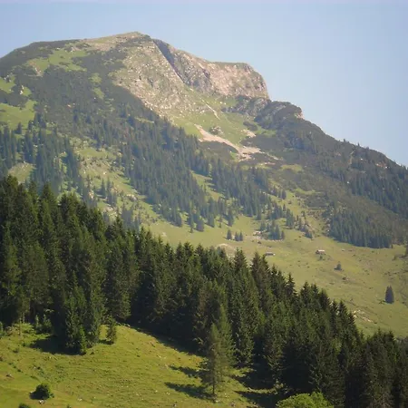Gastehaus Walpurga Guest house Russbach am Pass Gschuett